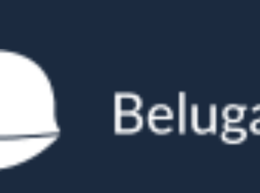 BelugaCDN评测中小众CDN真的靠谱吗?用户实测心得分享