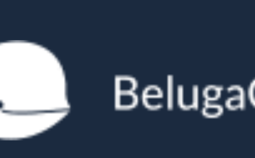 BelugaCDN评测中小众CDN真的靠谱吗？用户实测心得分享